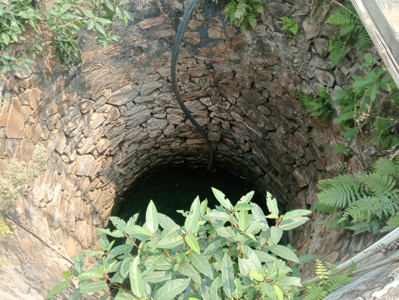 IMG 20250409 WA0147