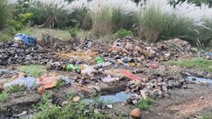 IMG20250926123419 01