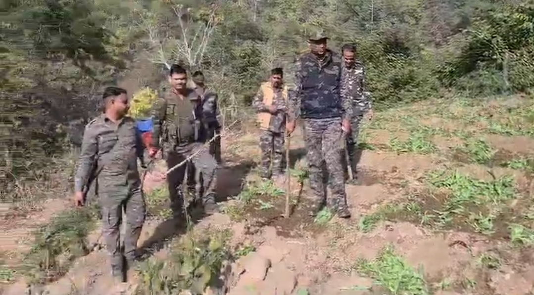 Screenshot 2026 01 08 20 45 55 85 6012fa4d4ddec268fc5c7112cbb265e7