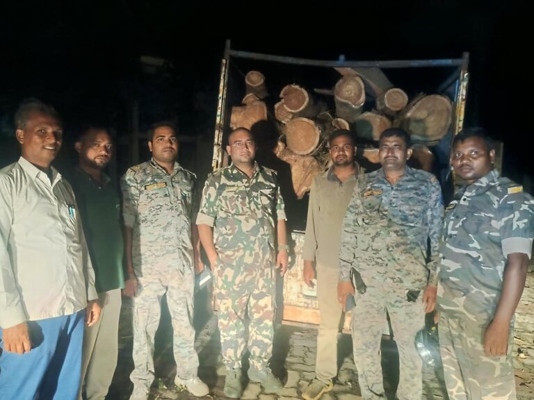 बरही में वन विभाग की बड़ी कार्रवाई, 10 शीशम के बोटे लदी पिकअप वैन जब्त  खैरा शाहपुर गांव के पास